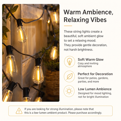 Solar String Lights